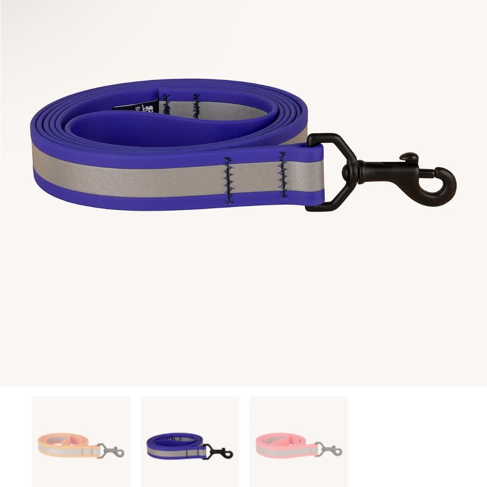 Blue and Gray Dog Leash